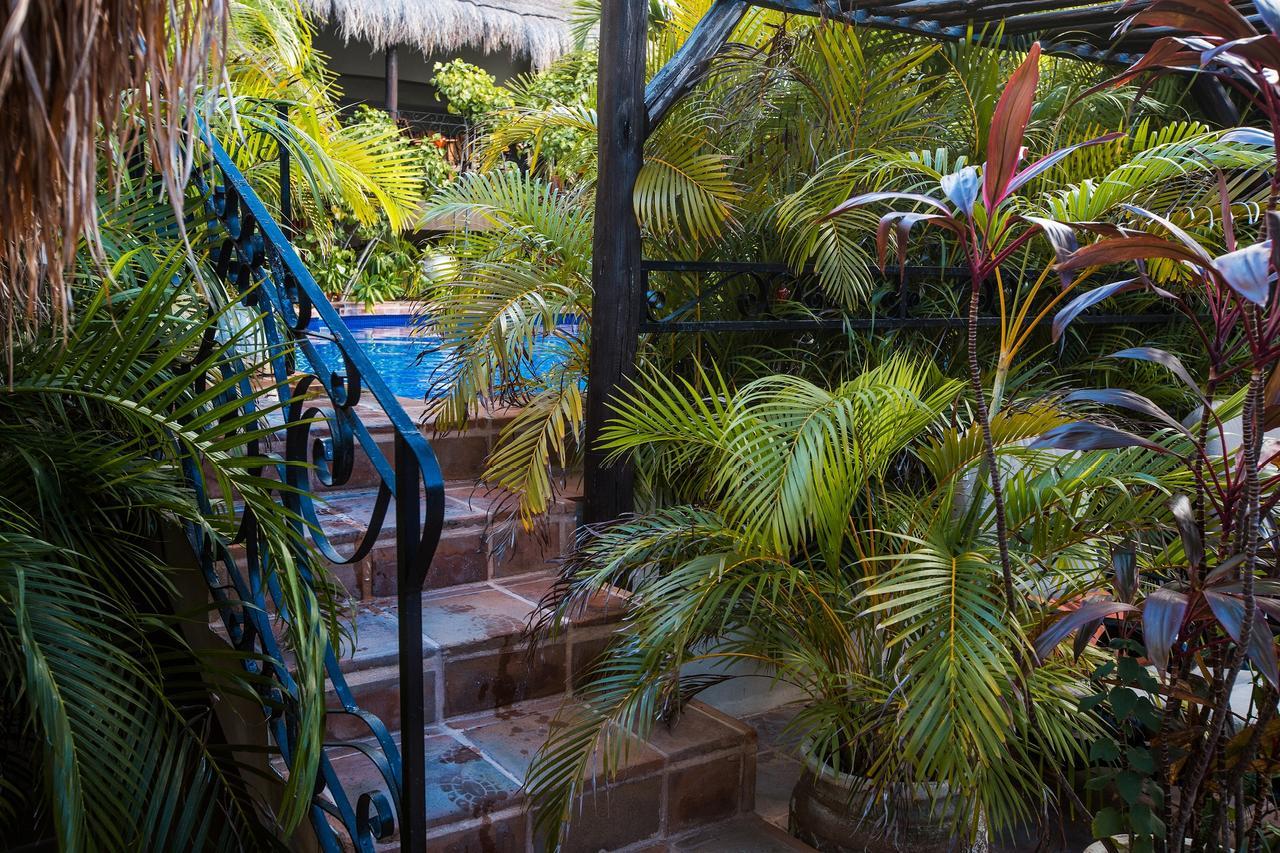פלאייה דל כרמן La Pasion Colonial Hotel Boutique By Bunik מראה חיצוני תמונה